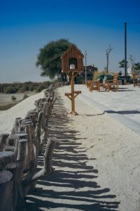 טרנד חדש: הישראלים שעוברים לאופנועי ים – למה כולם מדברים על זה?